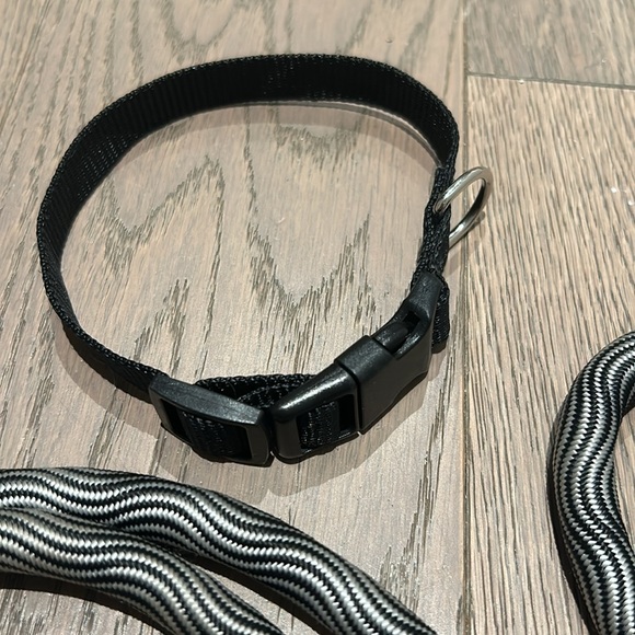 Dog starter kit (harness, leash and collar) - Picture 6 of 6